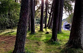 Walking through the woods beside the Caledonian Canal by James Fairbairns