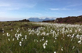 Machair on Eigg on a shore trip on our Skye and Small isles cruise