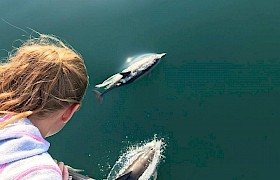 dolphins Alexa Kershaw