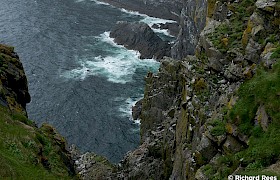 Berneray