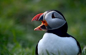 Wildlife Guide Lynsey Bland