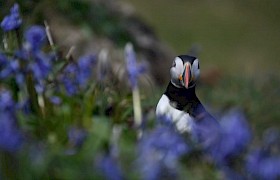 Wildlife Guide Lynsey Bland