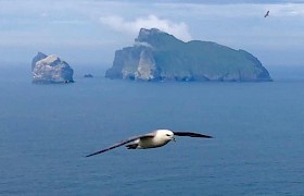 James Fairbairns fulmar