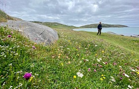 the machair on Eriskay