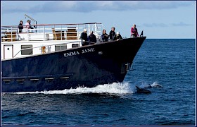 Bow riding dolphin with Emma Jane Guest Pat Boreham