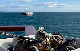 Mussels James Fairbairns