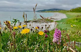 Cruise Outer Hebrides Wildlife Guide Will Smith