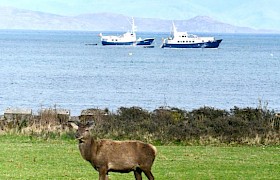 Emma Jane and Elizabeth G with deer on the Isle of Rum by Guide Lynsey Bland