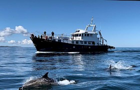 Emma Jane with dolphins by Skipper James Fairbairns