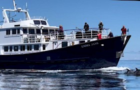 Emma Jane with dolphins by Skipper James Fairbairns