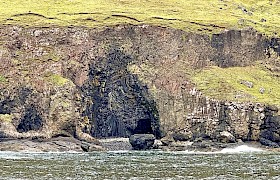 Fossil Tree on on the Isle of Mull by Skipper James Fairbairns