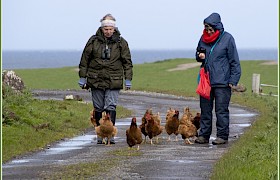 Guests making friends by guest Pat Boreham