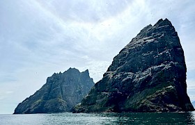 St Kilda Stacs by Guide Lynsey Bland