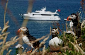 Puffins and Lucy Mary
