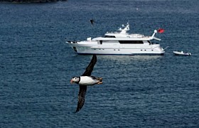 Lucy Mary at the Treshnish Isles