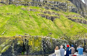 Puffin watching at Canna